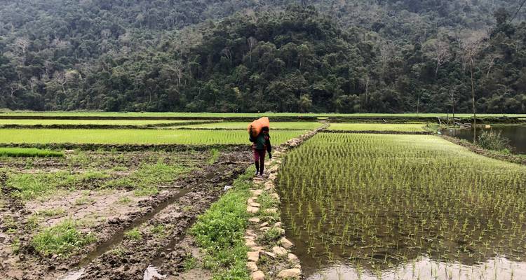 Aventura de 5 días por el norte de Vietnam: lazo lago Ba Be - Ha Giang - Old Quarter Travel 3