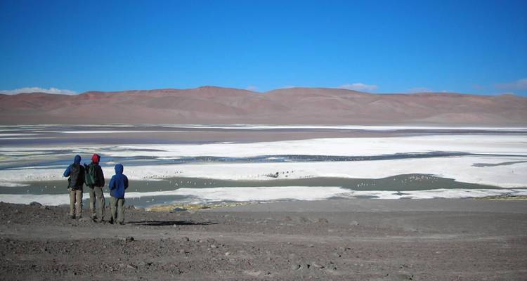 Argentine, Atacama et Andes - 20 jours - On The Go Tours 9