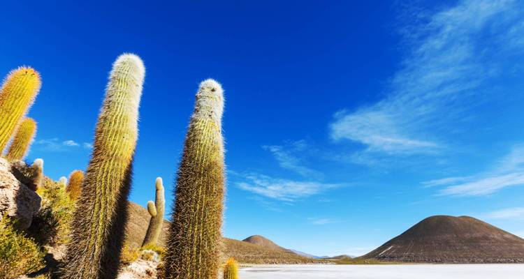 Argentine, Atacama et Andes - 20 jours - On The Go Tours 8