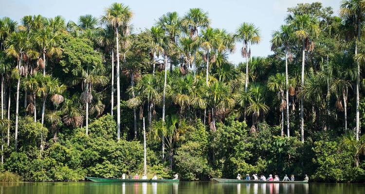 Boottocht door een weelderige groene jungle rivier