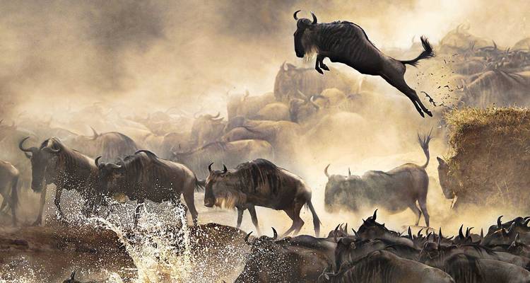 5 Days Tanzania Camping Safari - Muraa African Safaris 8