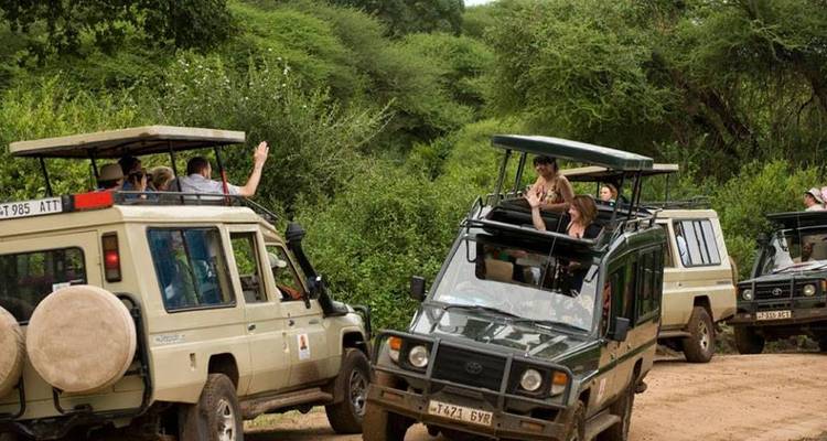 5 Days Tanzania Camping Safari - Muraa African Safaris 10