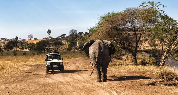 5 Days Tanzania Camping Safari - Muraa African Safaris 3