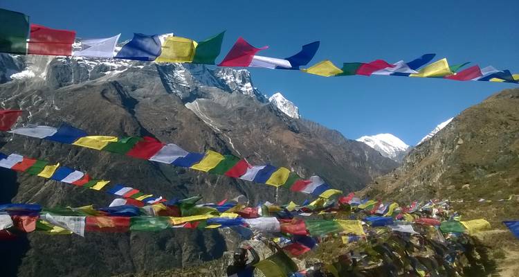 Kleurrijke gebedsvlaggen tegen een bergachtergrond.