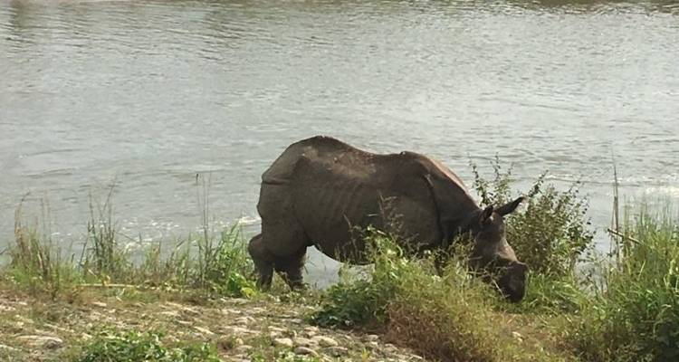 Chitwan Tour - First Environmental Trekking 2