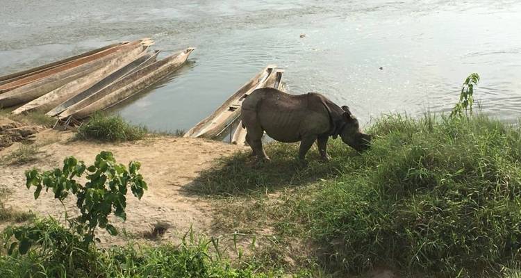 Chitwan Tour - First Environmental Trekking 4