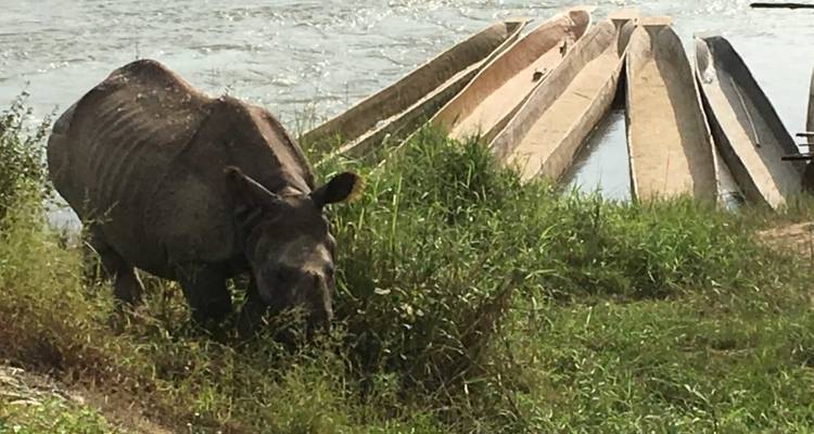 Chitwan Tour - First Environmental Trekking 3