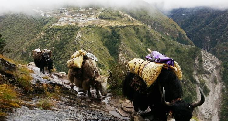 Gokyo Ri Trek - 13 Days - Sherpa Expedition & Trekking Pvt. Ltd. 3