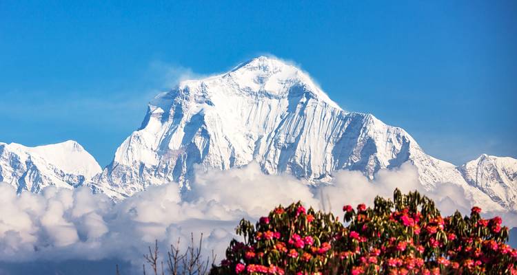 Ghorepani Poon Hill Sunrise Trekking - Sherpa Expedition & Trekking Pvt. Ltd. 2