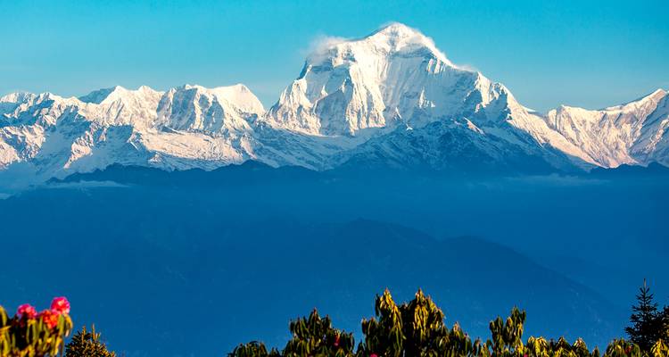 Ghorepani Poon Hill Sunrise Trekking - Sherpa Expedition & Trekking Pvt. Ltd. 4
