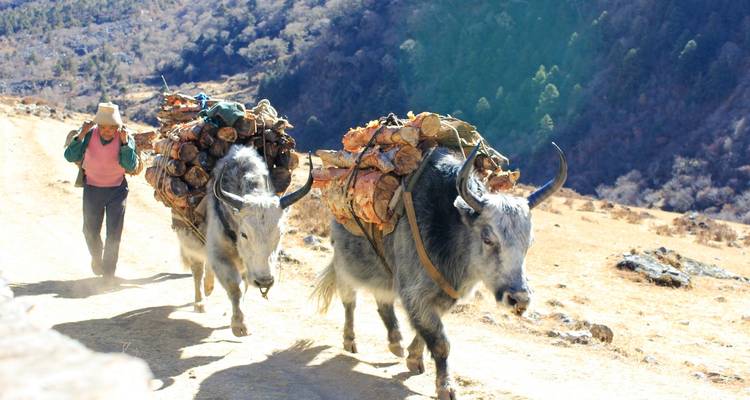 Trek dans la vallée du Langtang et à Gosaikunda - Sherpa Expedition & Trekking Pvt. Ltd. 8