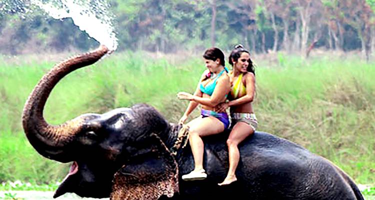 2 nuits et 3 jours de safari dans la jungle de Chitwan - Sherpa Expedition & Trekking Pvt. Ltd. 1