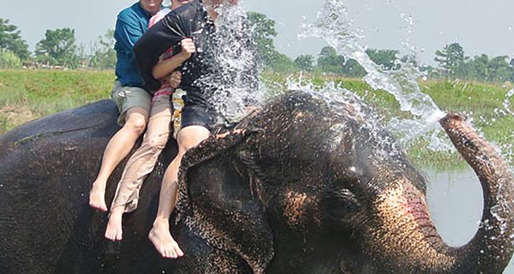 2 nuits et 3 jours de safari dans la jungle de Chitwan - Sherpa Expedition & Trekking Pvt. Ltd. 2