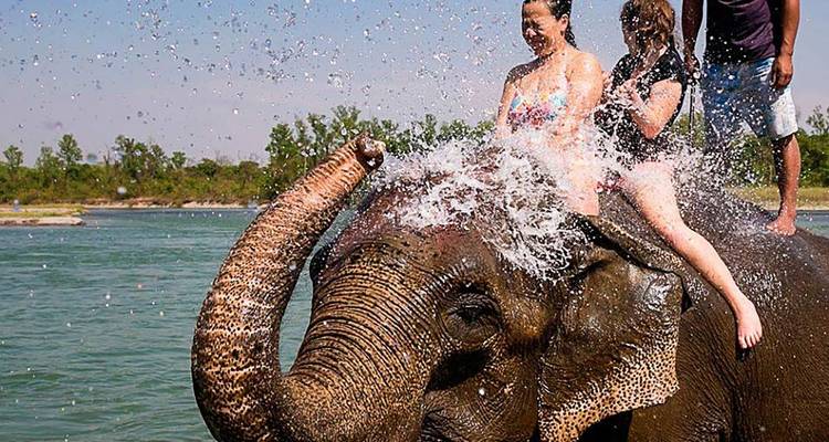2 nuits et 3 jours de safari dans la jungle de Chitwan - Sherpa Expedition & Trekking Pvt. Ltd. 7