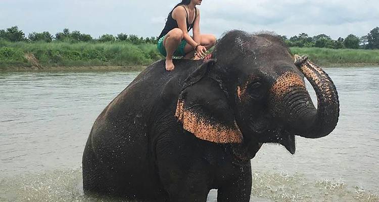 2 nuits et 3 jours de safari dans la jungle de Chitwan - Sherpa Expedition & Trekking Pvt. Ltd. 3