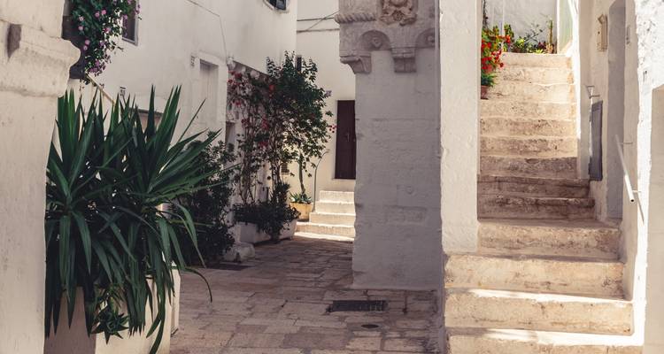 Une charmante rue étroite dans une ville italienne aux murs blanchis à la chaux avec des plantes et des fleurs.