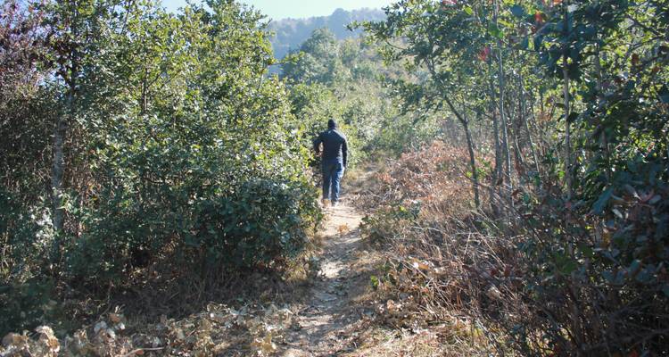 Kathmandu - Chitlang - World Himalayan Destination Pvt Ltd 6