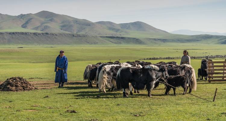 Trésors de Mongolie - Oct- May - Tour Mongolia 10