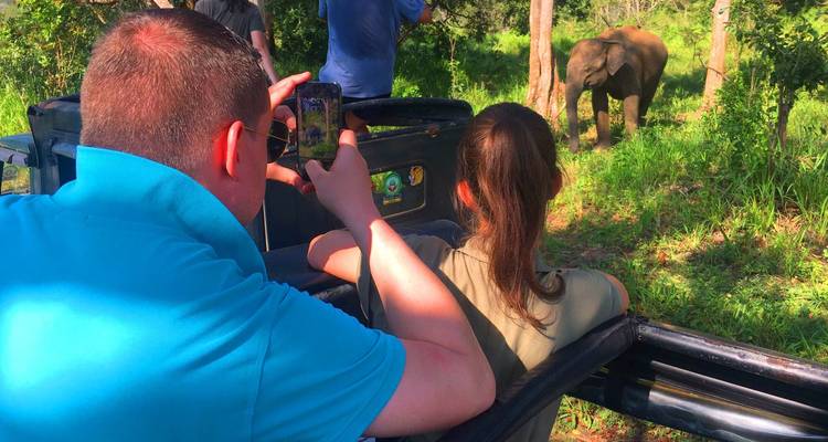 Toeristen observeren een babyolifant in een bosgebied.