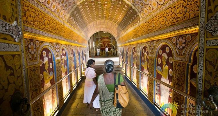 Journey Through Sri Lanka - 08 Days Tour - Hellow Travel 9