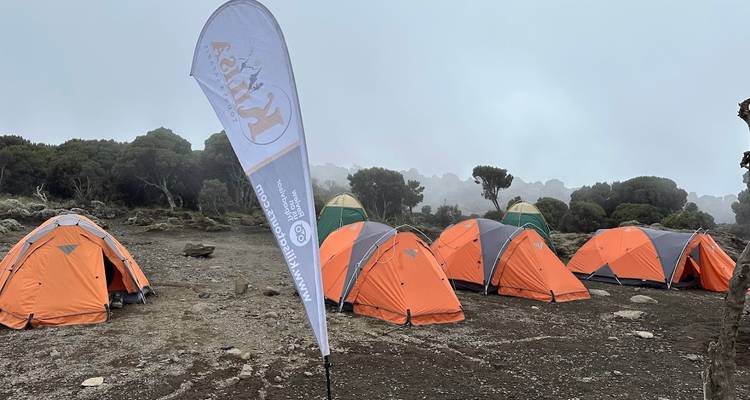 Reihe von leuchtend orangefarbenen Expeditionszelten auf felsigem Alpingelände unter nebeligen Bedingungen aufgestellt.