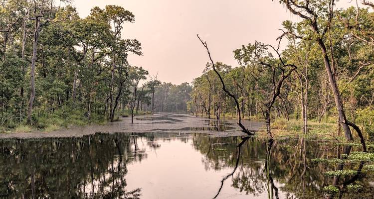 Katmandou - Chitwan - Circuit au Népal - Patrimoine et safari animalier - Oriental Journeys Pvt. Ltd. 7