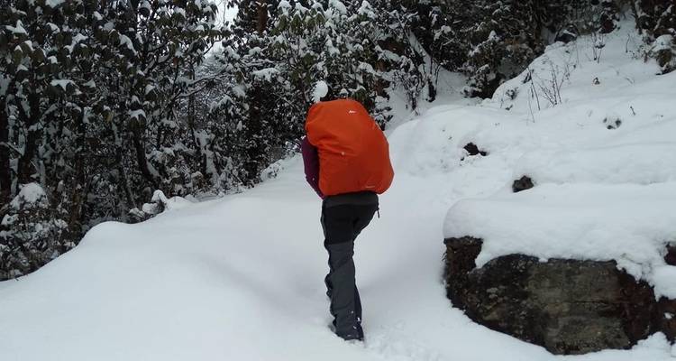 Helambu Trek - World Himalayan Destination Pvt Ltd 3