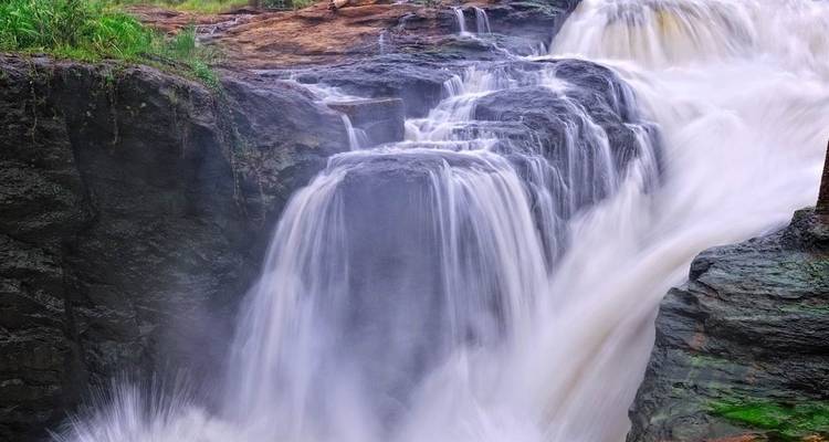 2 Days Wildlife Safari to Murchison Falls National Park - Rumara Safaris 6