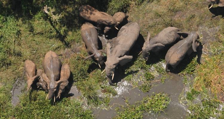 2 Days Wildlife Safari to Murchison Falls National Park - Rumara Safaris 3