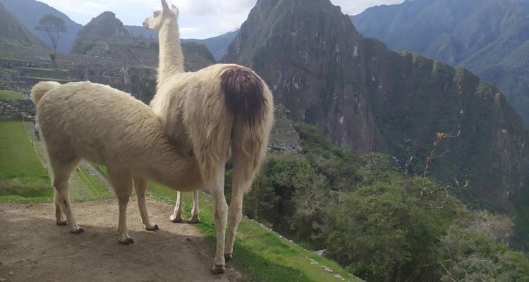 Trek de 5 jours du Salkantay au Machu Picchu - Machupicchu USA  7