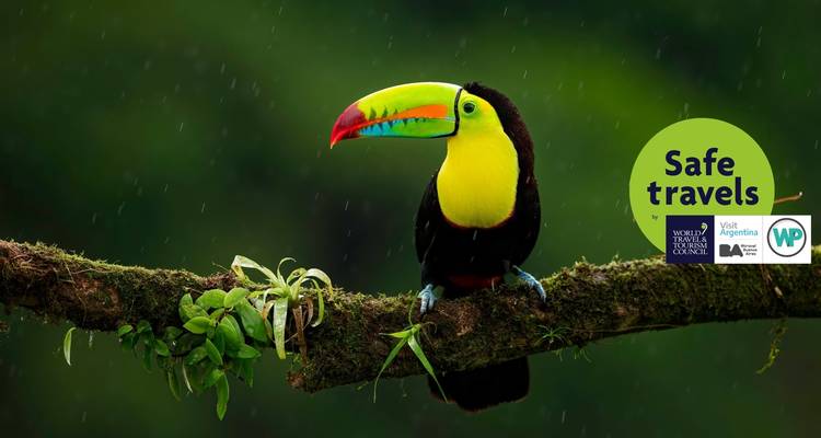 Magnificent Iguazú Falls - Private Services - People Travel and Experience 3