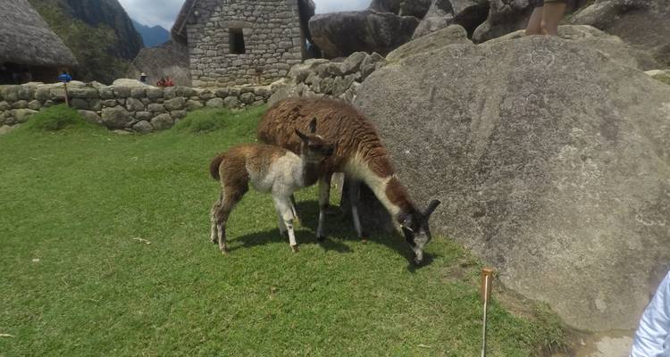 Caminata de 4 días de Lares a Machu Picchu - Machupicchu USA  3
