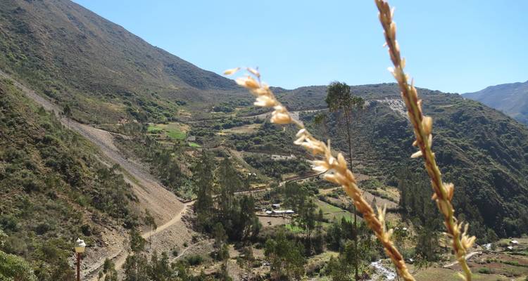 Caminata de 4 días de Lares a Machu Picchu - Machupicchu USA  1