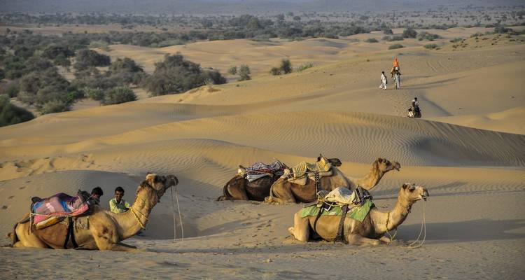 Luxury Rajasthan Delhi Tour - Alkof Holidays 2