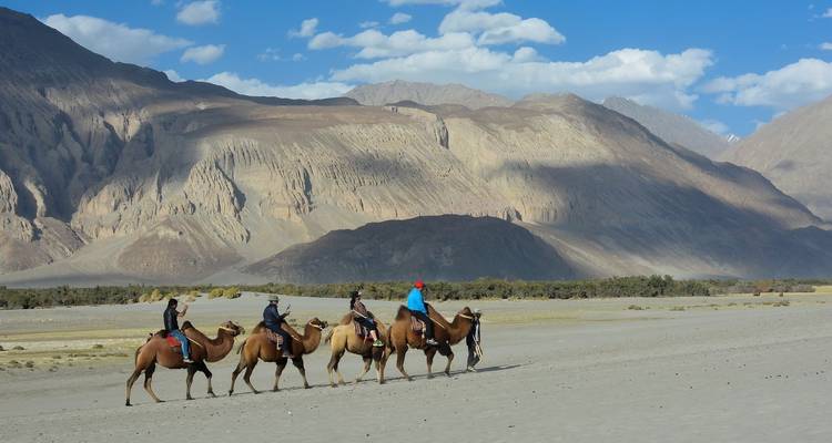 Leh Ladakh Tour - Alkof Holidays 4