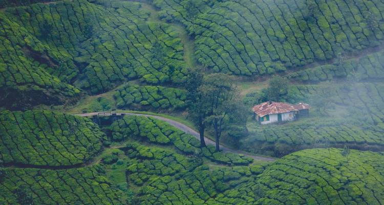 Kerala Ayurveda Tour - Alkof Holidays 3