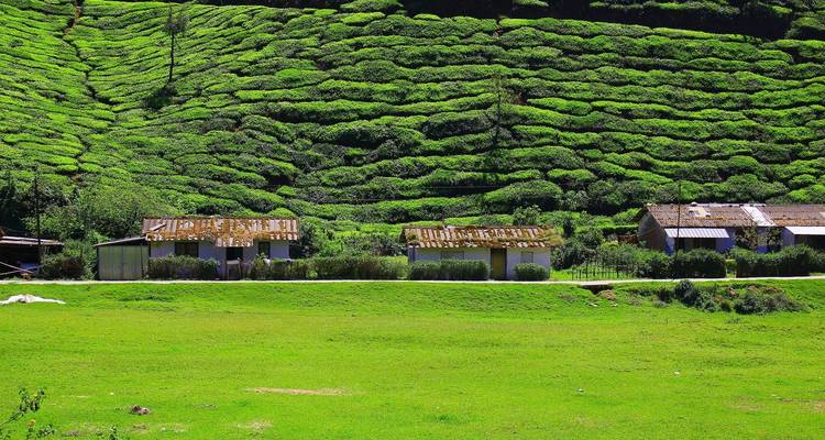 Kerala Ayurveda Tour - Alkof Holidays 6