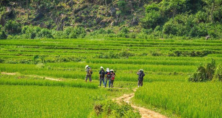 Trekking in Mai Chau - Pu Luong 3 days 2 nights - Mr Linh's Adventures 2