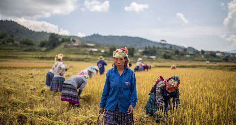 Trekking à Mu Cang Chai - 4 jours et 3 nuits - Mr Linh's Adventures 2