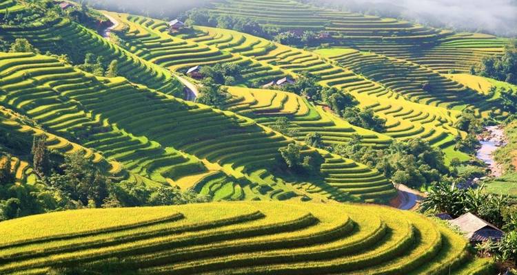 Trekking à travers les rizières de Hoang Su Phi - 4 jours et 3 nuits - Mr Linh's Adventures 3