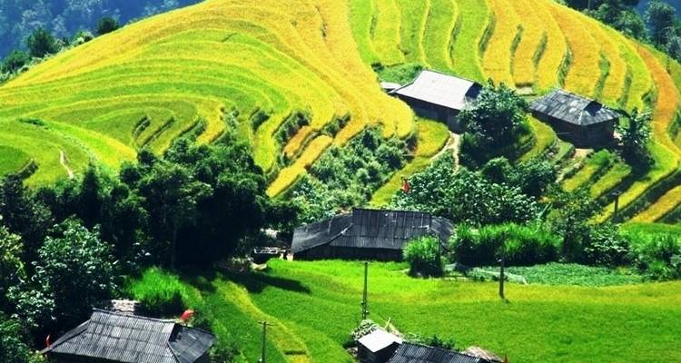 Trekking à travers les rizières de Hoang Su Phi - 4 jours et 3 nuits - Mr Linh's Adventures 2