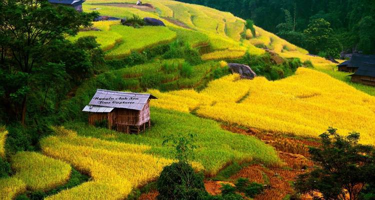 Trekking à travers les rizières de Hoang Su Phi - 4 jours et 3 nuits - Mr Linh's Adventures 4