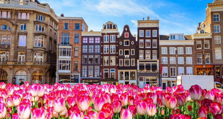 Classic Rhine Cruise (Amsterdam-Mainz) MS Crucevita - Crucemundo  9