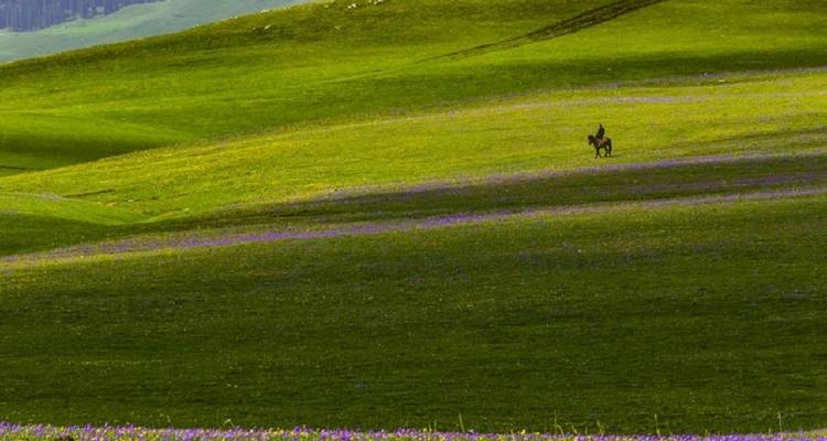 El mejor circuito de Yili en Xinjiang - Doufeng Adventure 2