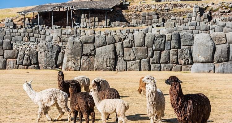 Andean Trilogy, Private Tour - LimaTours 10