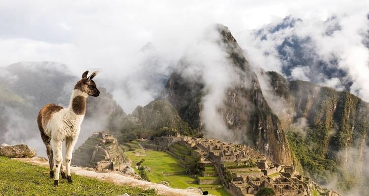 Enigmas of the South, Private Tour - LimaTours 8