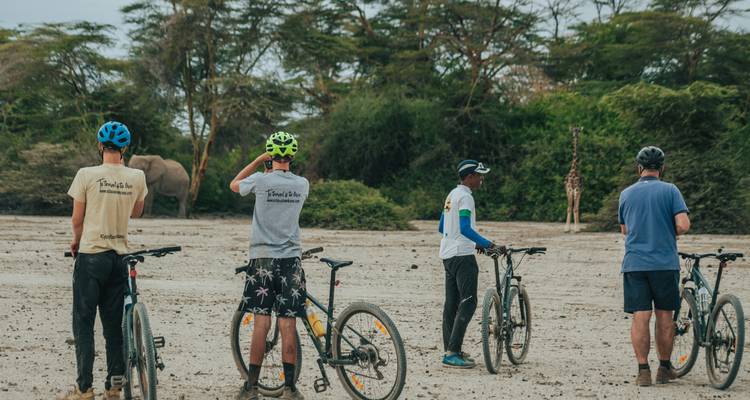 Radfahrer beobachten Tiere in einer Savannenlandschaft.