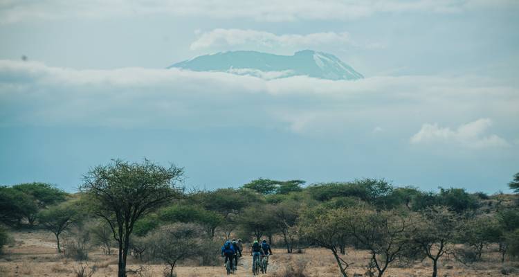 Radfahrer, die in einer Savanne auf einen nebligen Berg zufahren.