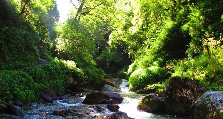 Circuit du Langtang - Outfitter Nepal Treks and Expeditions 1