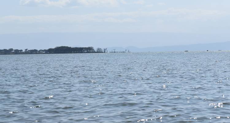 Lake view with distant shore and trees.